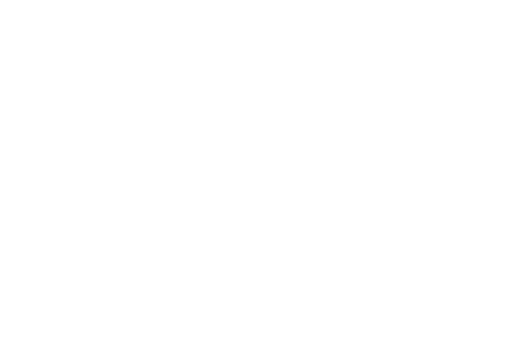 Logo www.burliga.com