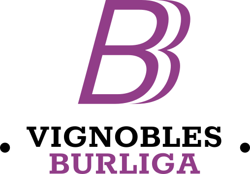 Logo www.burliga.com